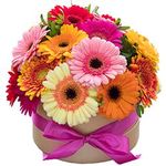 Цветы в шляпной коробке