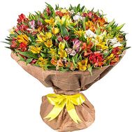 101 альстромерія в папері