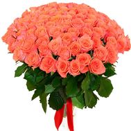 101 помаранчева троянда