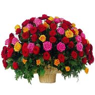 101 троянда в кошику