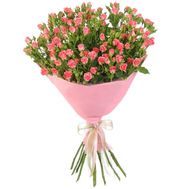 13 pink roses in craft