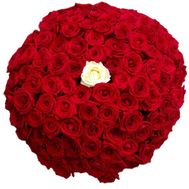 Божественний букет із 101 троянди