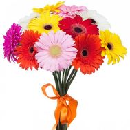 Bouquet of 15 gerberas flowers