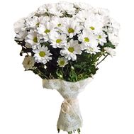 Bouquet of 11 white chrysanthemums