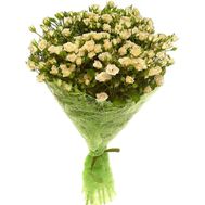 Bouquet of 17 spray roses