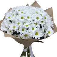 Bouquet of 19 chamomiles