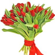 Букет из 39 красных тюльпанов