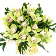 Букет зеленых орхидей