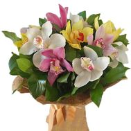 Exotic bouquet of orchids