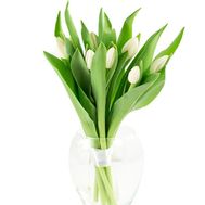 Компактный букет белых тюльпанов