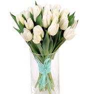 Милый букет белых тюльпанов
