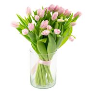Нежный букет розовых тюльпанов