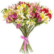 Привабливий букет альстромерій