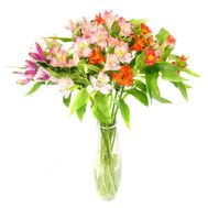 Приємний букет альстромерій