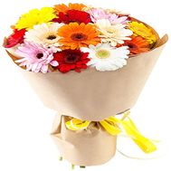 Multicolored gerbera in kraft