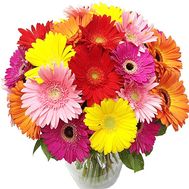 Life-affirming bouquet of gerberas