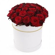 25 троянд червоних троянд в коробці