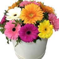 Composition from gerberas in a box