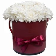 Box with white chrysanthemums