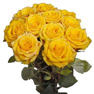 11 yellow roses