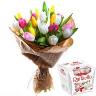 21 тюльпан и Рафаэлло