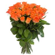 31 оранжевая роза