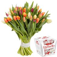 51 тюльпан и Raffaello