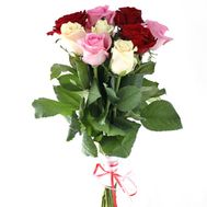 9 разноцветных роз