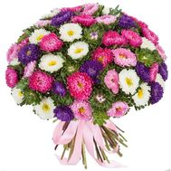 101 астра в великолепном букете