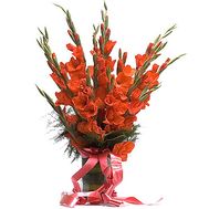 15 красных гладиолусов