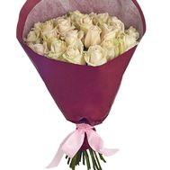 25 white roses in paper