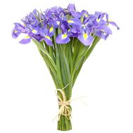 25 ирисов в букете