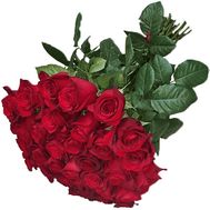 31 червона імпортна троянда