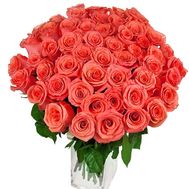 51 помаранчева троянда