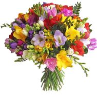 55 экзотических фрезий