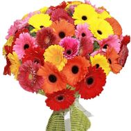 Большой букет гербер