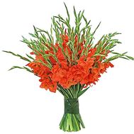 Большой букет гладиолусов