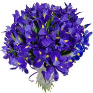 Большой букет ирисов