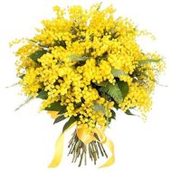 Великий букет мімози