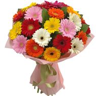 Bouquet of 25 Multicolored Gerberas