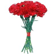 Букет гвоздик - Рига