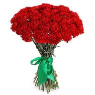 Bouquet of carnations - Sofia