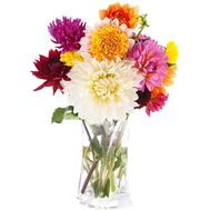 Букет из 11 георгин