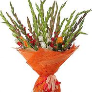 Букет из 25 гладиолусов