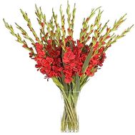 Букет из 35 гладиолусов