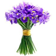 Букет из 41 ириса