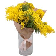 Букет мімози в папері