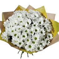 Bouquet of 15 chamomiles