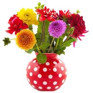 Чудесные георгины в букете