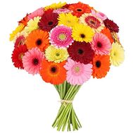 Чудесный букет гербер